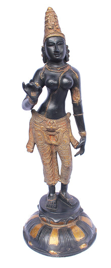  [[Antique black and gold brass Parvati statue///Statue de Parvati en laiton noir et or antique]]