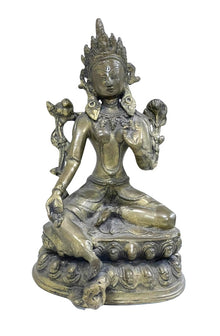  [[Brass Tara///Tara en laiton]]